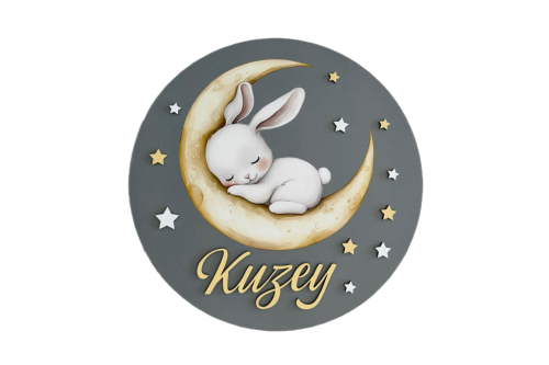 Personalized Rabbit Wooden Door Sign