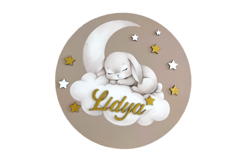 Personalized Rabbit & Moon Door Sign